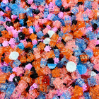 Kids Mini Hair Clips – 1 KG Pack
